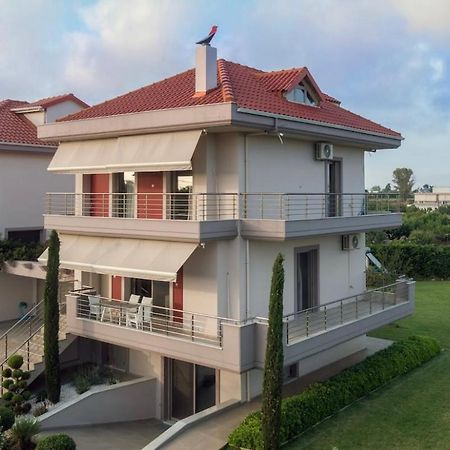 "Aeolos" Luxury Villa Превеза Екстериор снимка